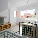 דירה Piso Amplio Y Luminoso Pegado Al Mar *